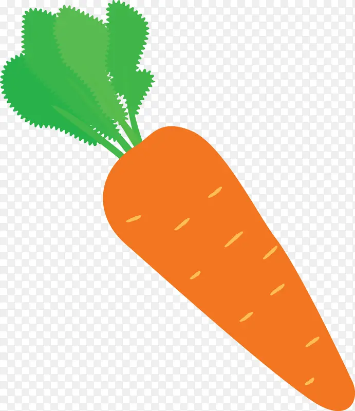 胡萝卜 作物 养分