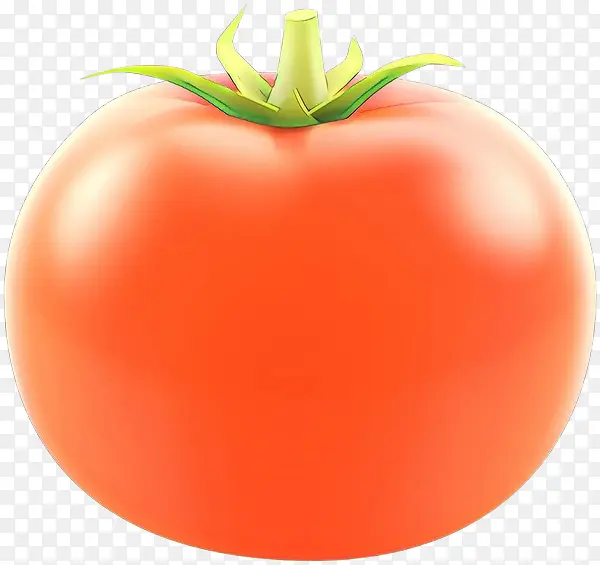 卡通 李子番茄 灌木番茄