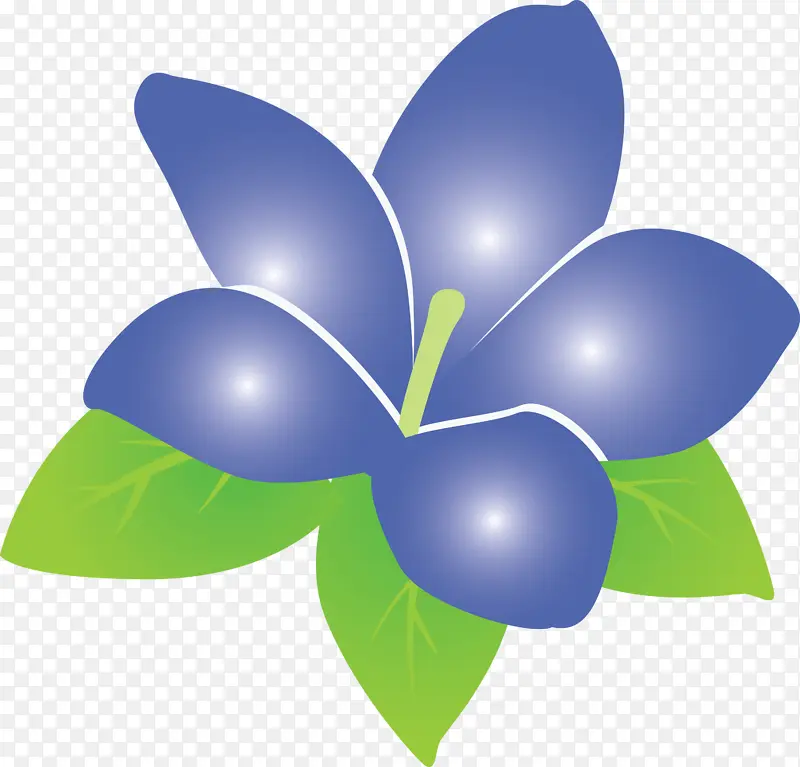 茉莉花 蝴蝶 叶