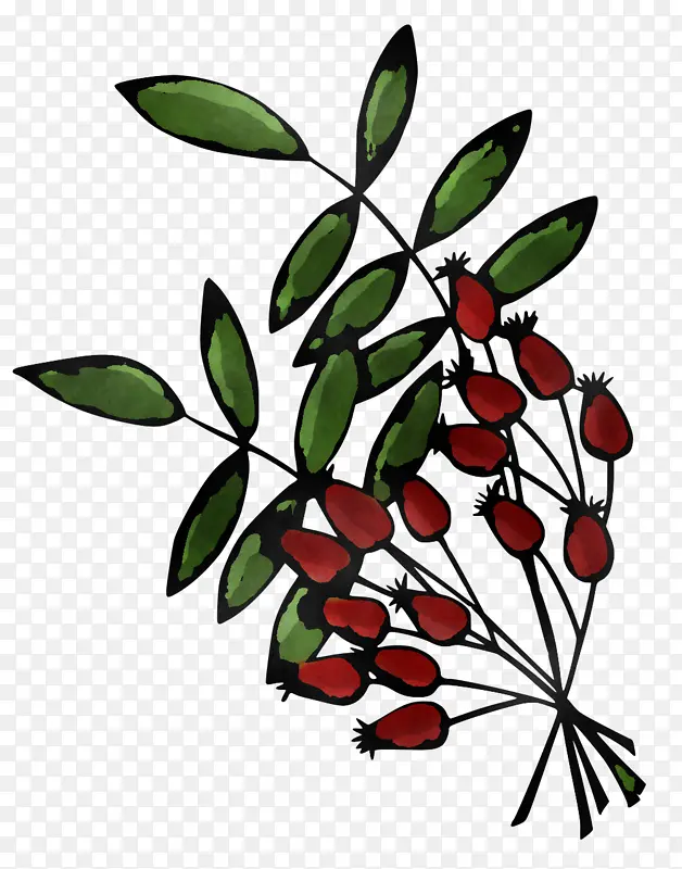 花 植物茎 叶