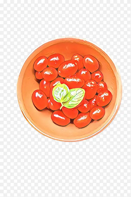 番茄 食品 茄