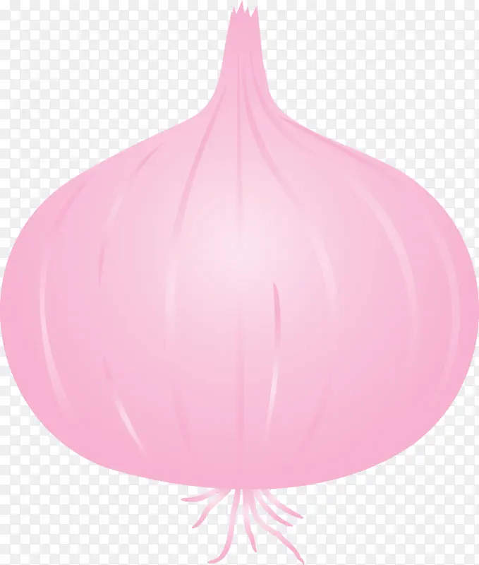 洋葱 气球