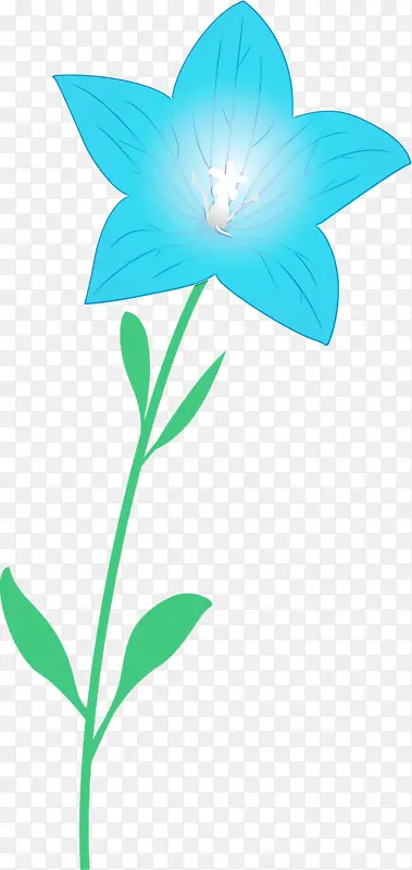 气球花 水彩 颜料