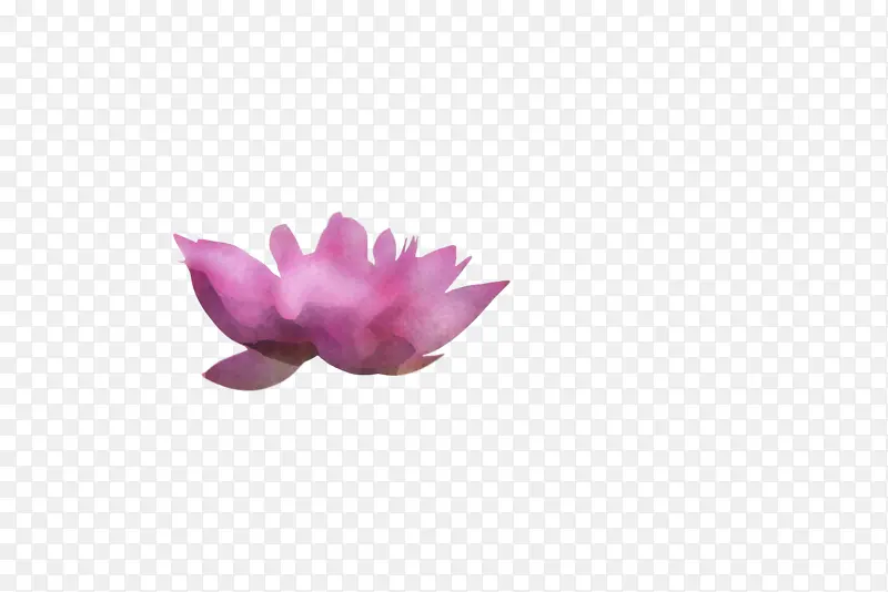 花 花瓣 丁香