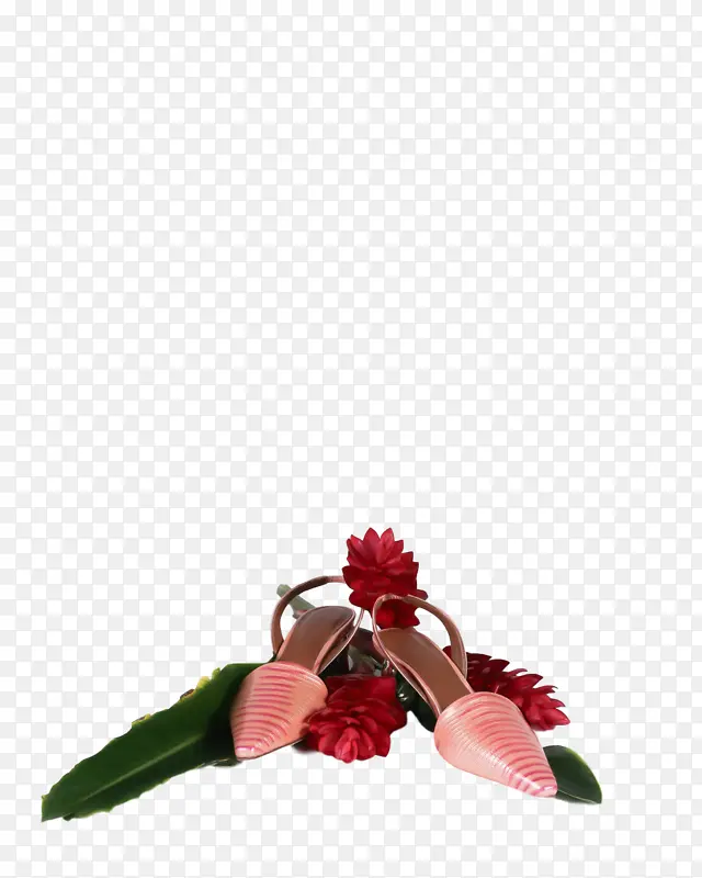 花卉设计 切花 花瓣