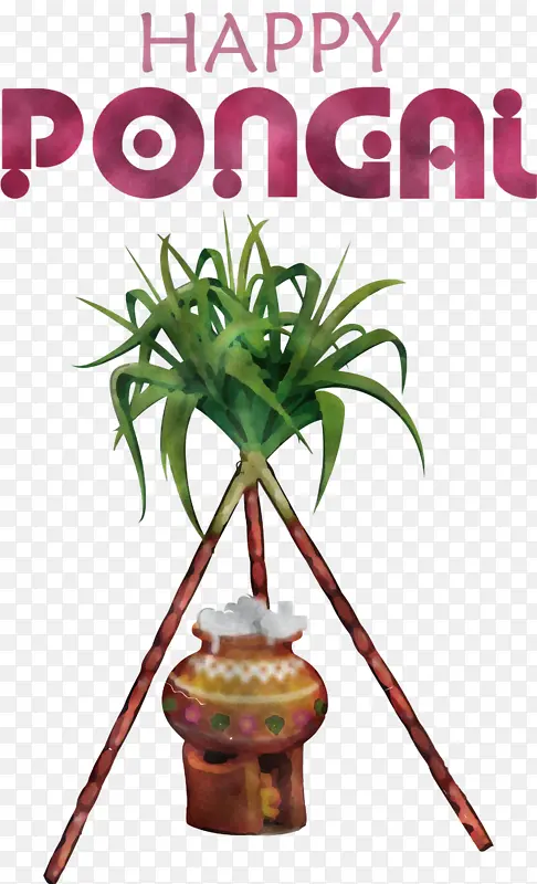干草花盆和茶托 仪表 植物