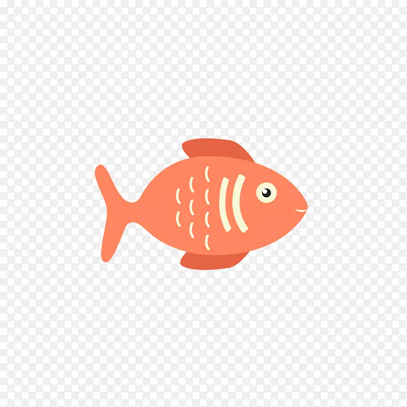 鱼类 生物学 科学