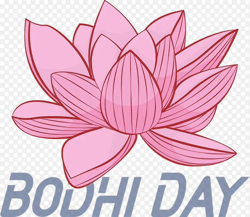 菩提日 菩提 水彩