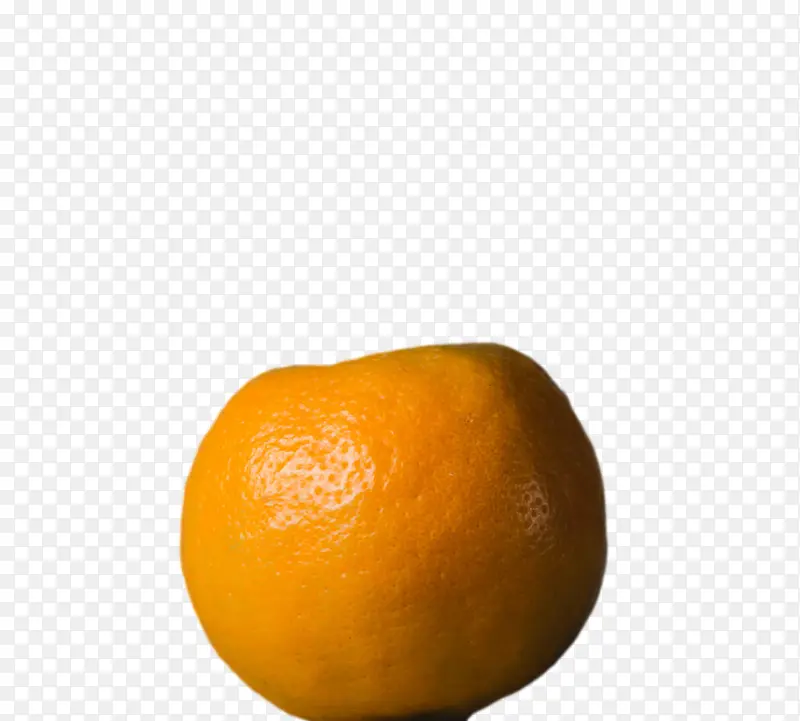 橙子 橘子 朗普