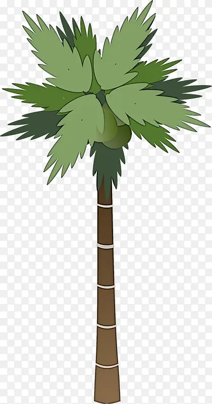棕榈树 卡通 素描