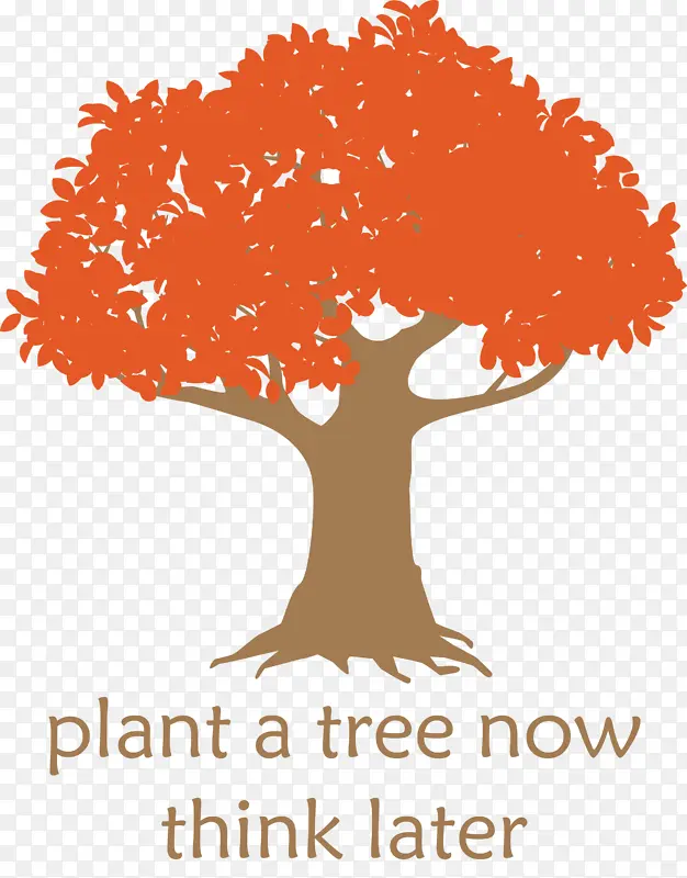 植树节 树木 学习
