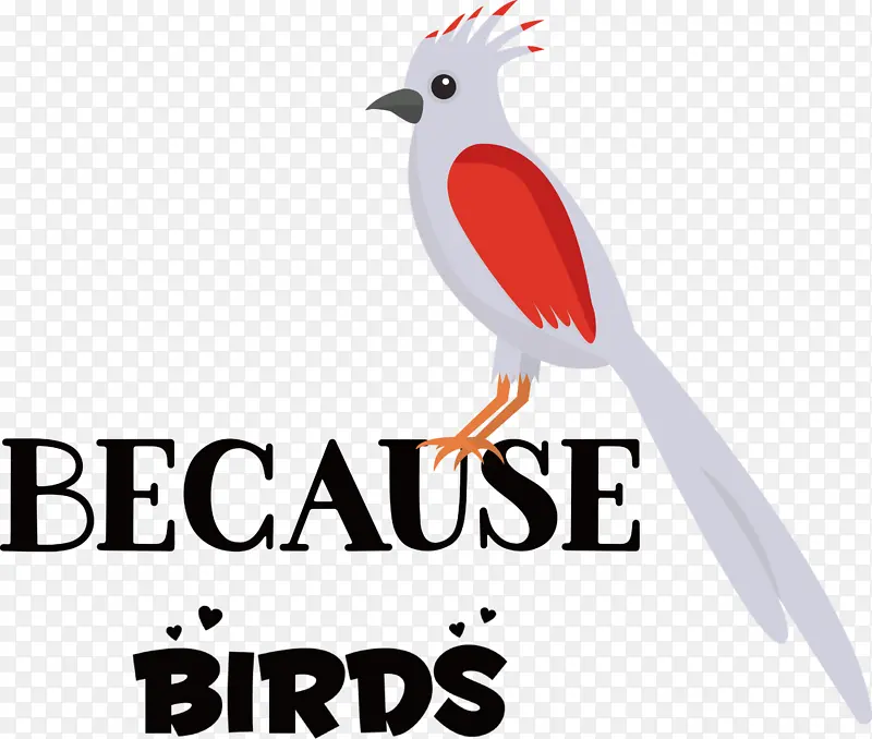 鸟 动物 标志