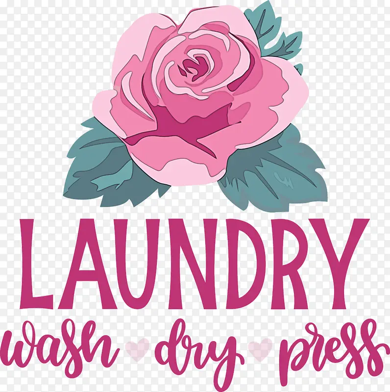 洗衣 洗涤 干燥