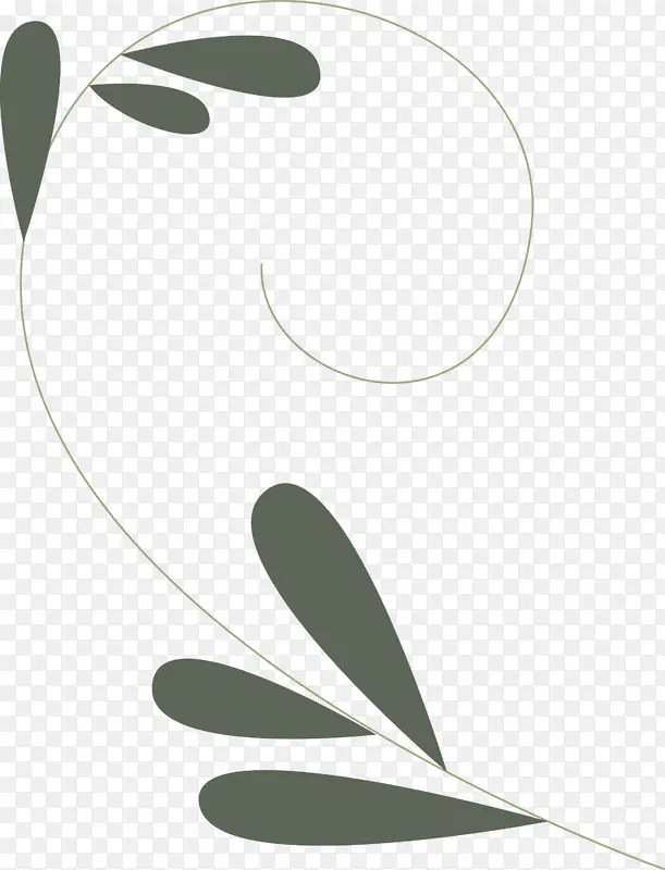 叶 植物茎 花瓣