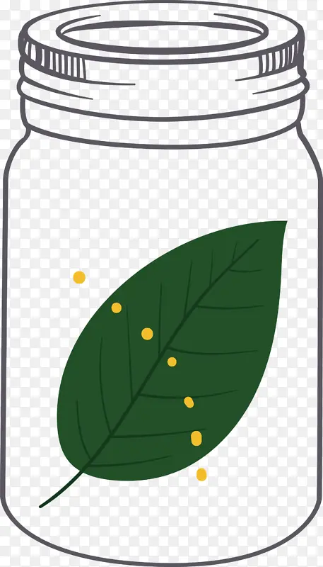 梅森罐子 叶子 绿色