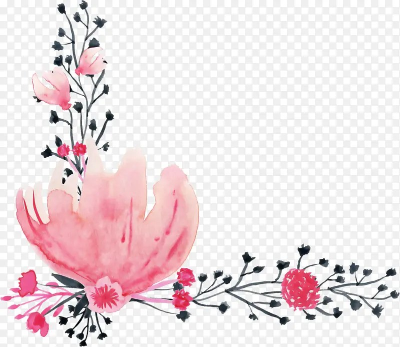 花卉 花卉设计 氨基