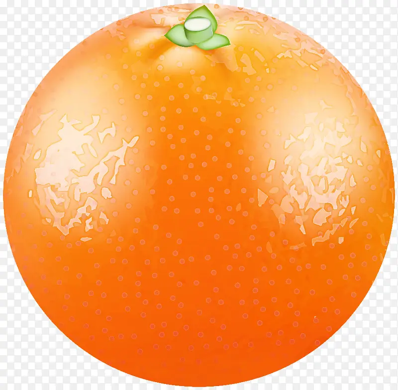 葡萄柚 天然食品 柑橘
