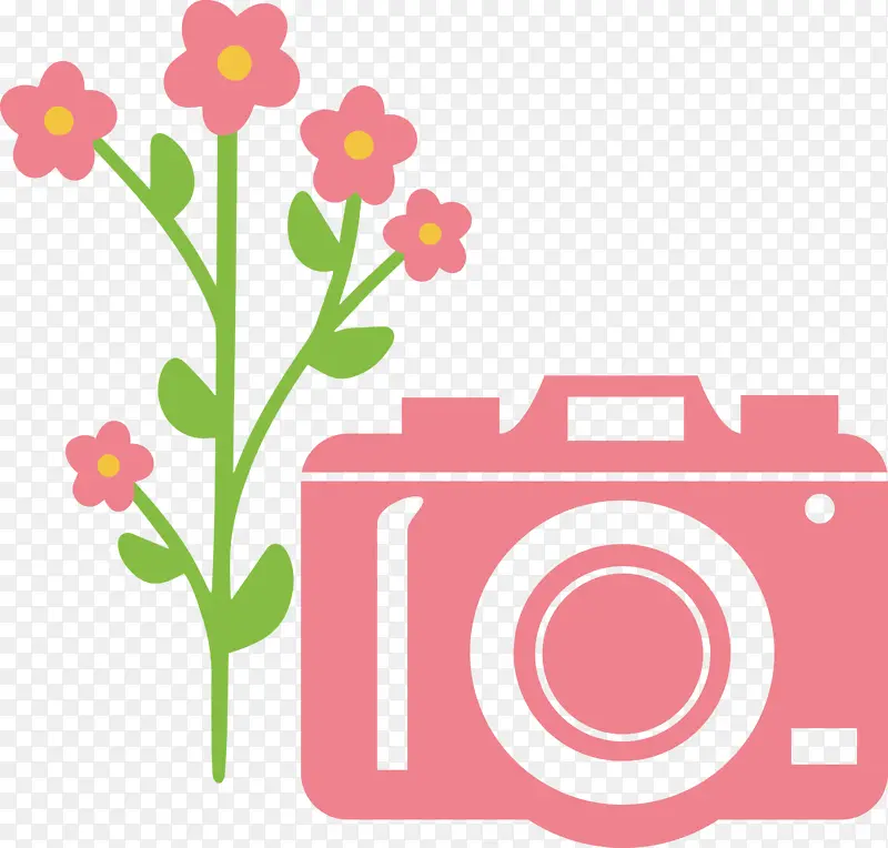相机 花卉 绘画