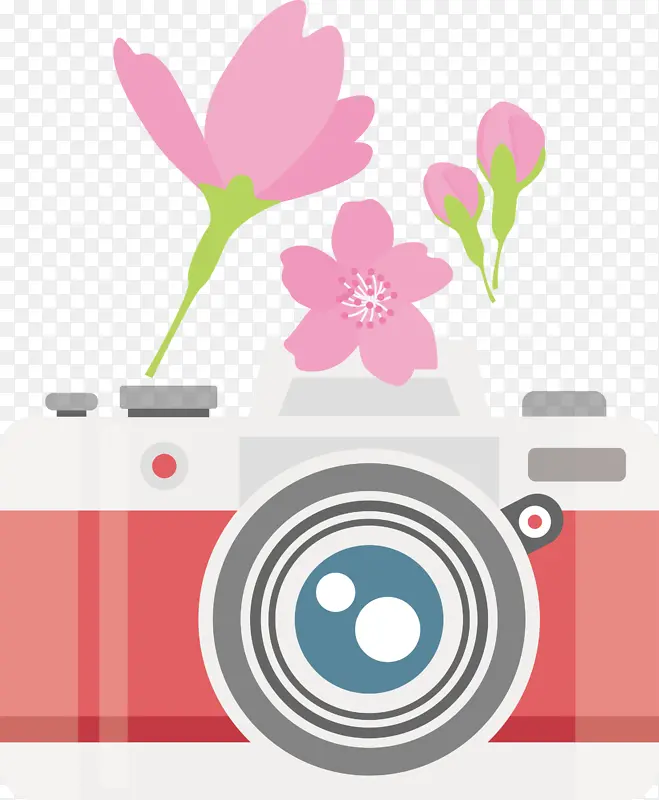 相机 花朵 花卉设计