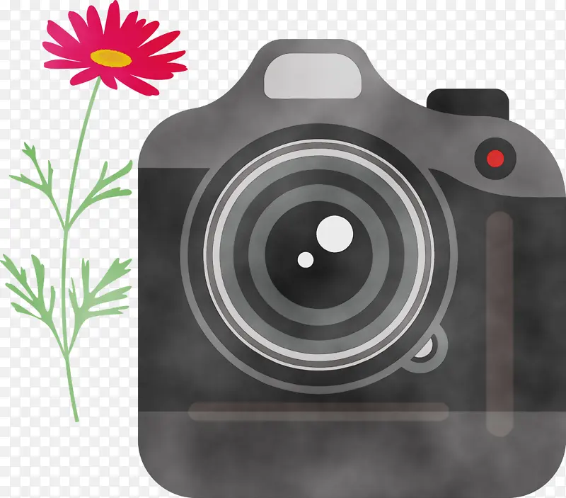 相机 花朵 水彩画