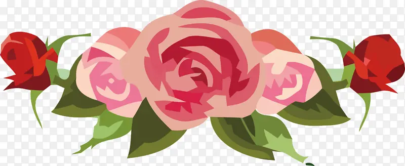 花卉设计 花园玫瑰 切花