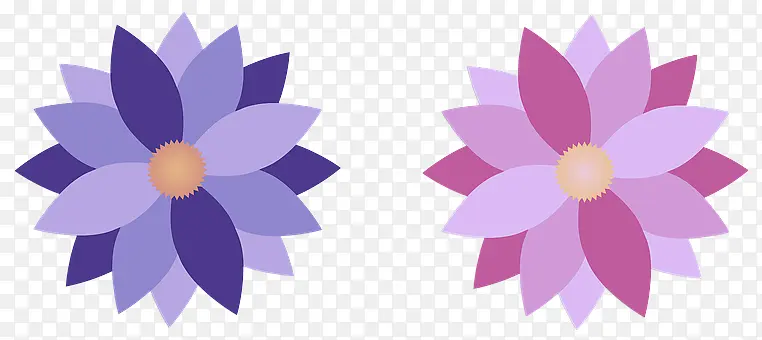 切花 花卉设计 对称