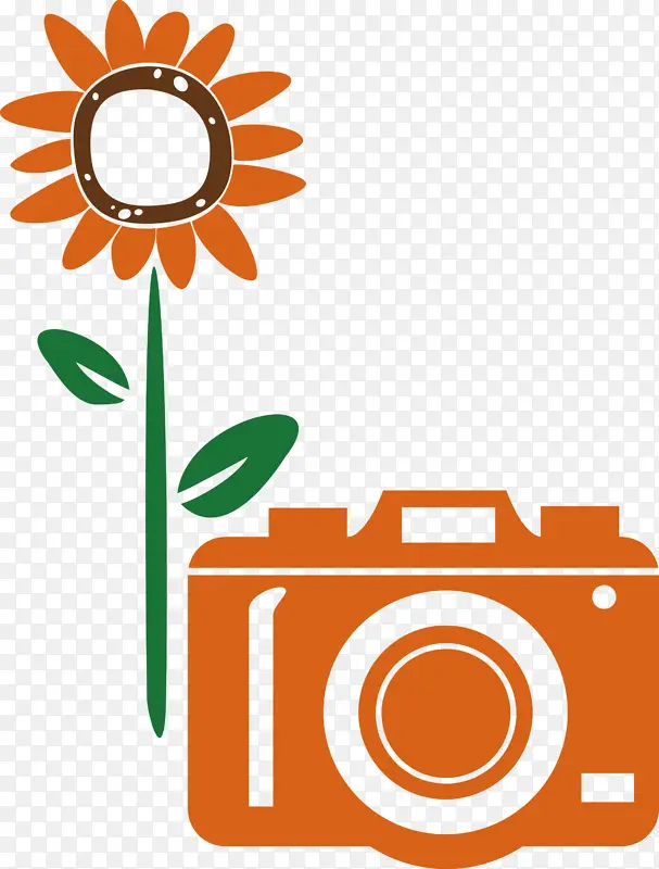 摄像机 花卉 价格
