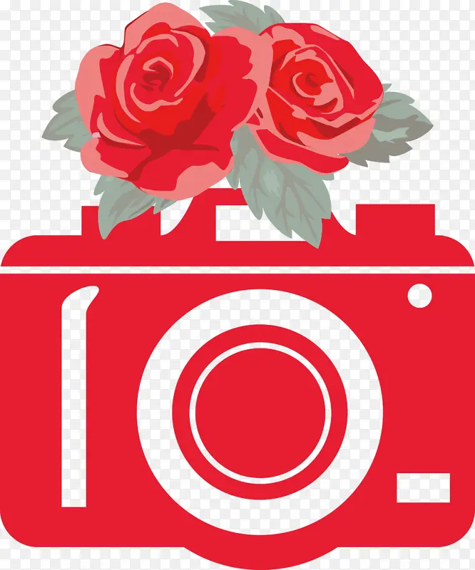 相机 花 玫瑰