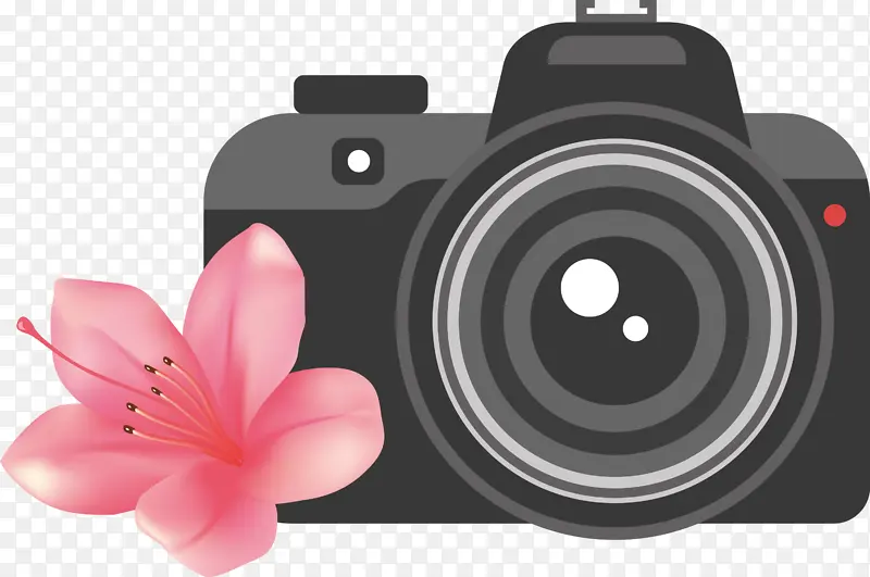 相机 花卉 数字营销
