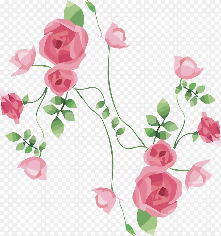 水彩花 花卉设计 花园玫瑰