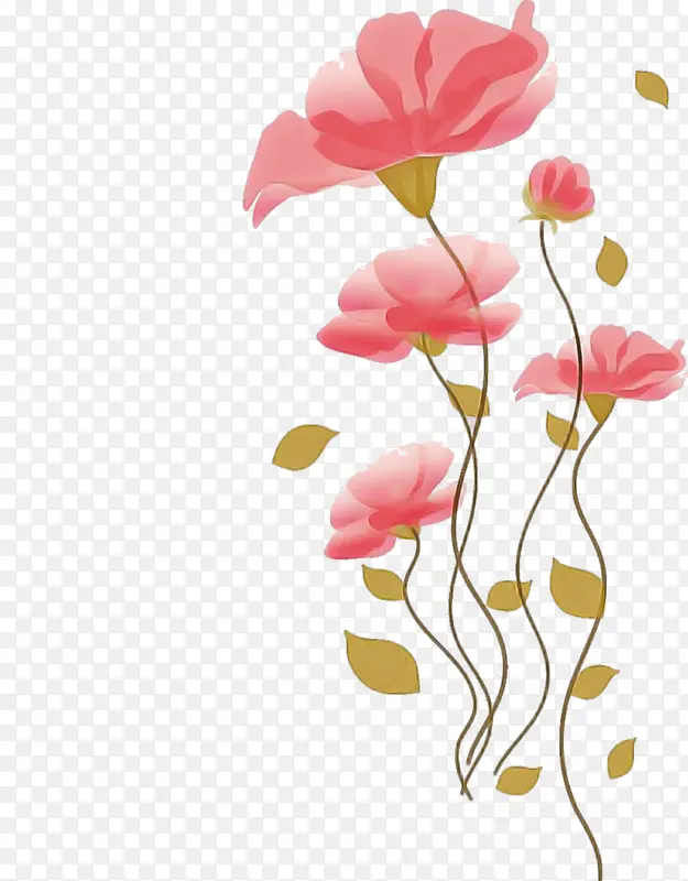 花卉设计 植物茎 玫瑰科