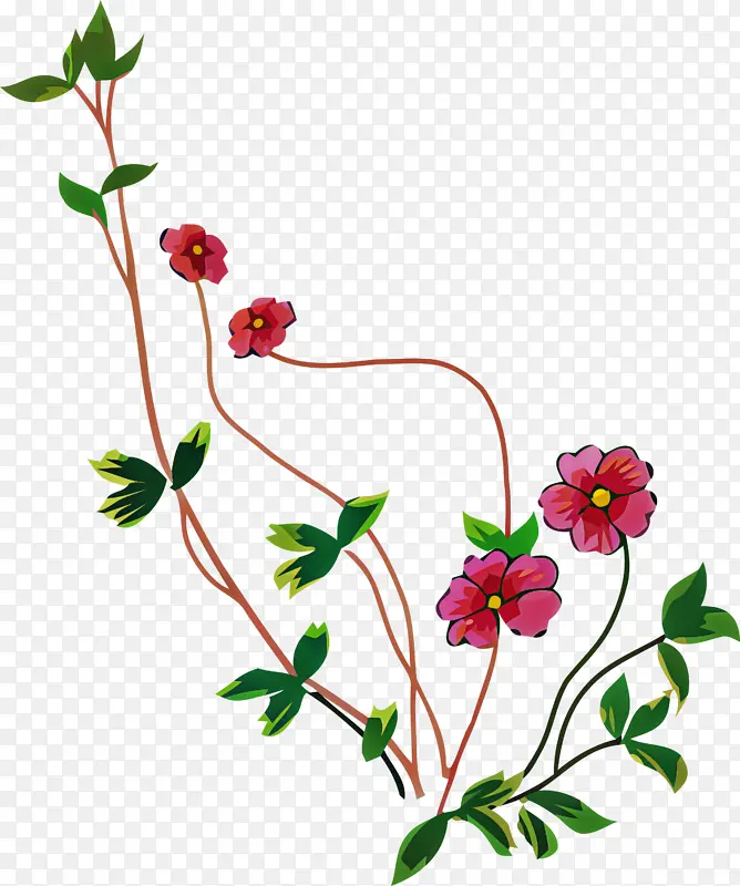 水彩花 花卉设计 植物茎
