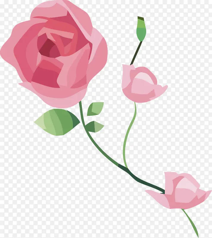 水彩花 花园玫瑰 花卉设计
