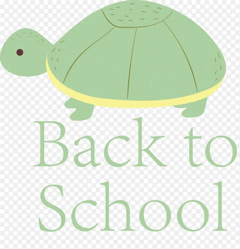回到学校 乌龟 绿色