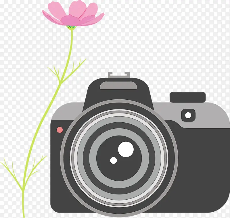 照相机 花卉 水彩