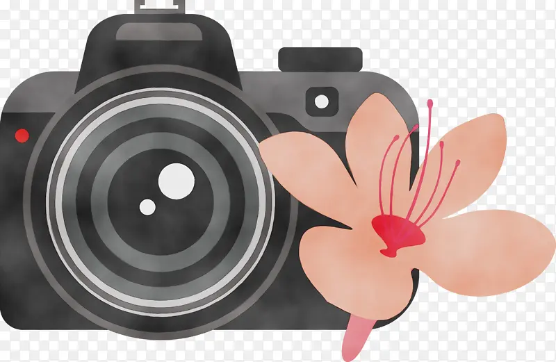 相机 花卉 水彩
