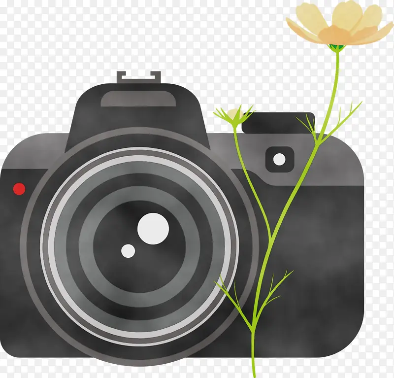 相机 花卉 水彩