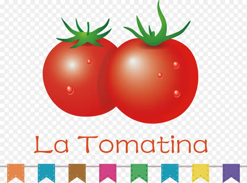 天然食品 灌木番茄 超级食品
