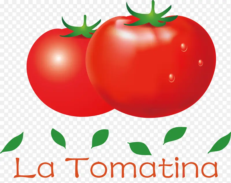 灌木番茄 天然食品 超级食品