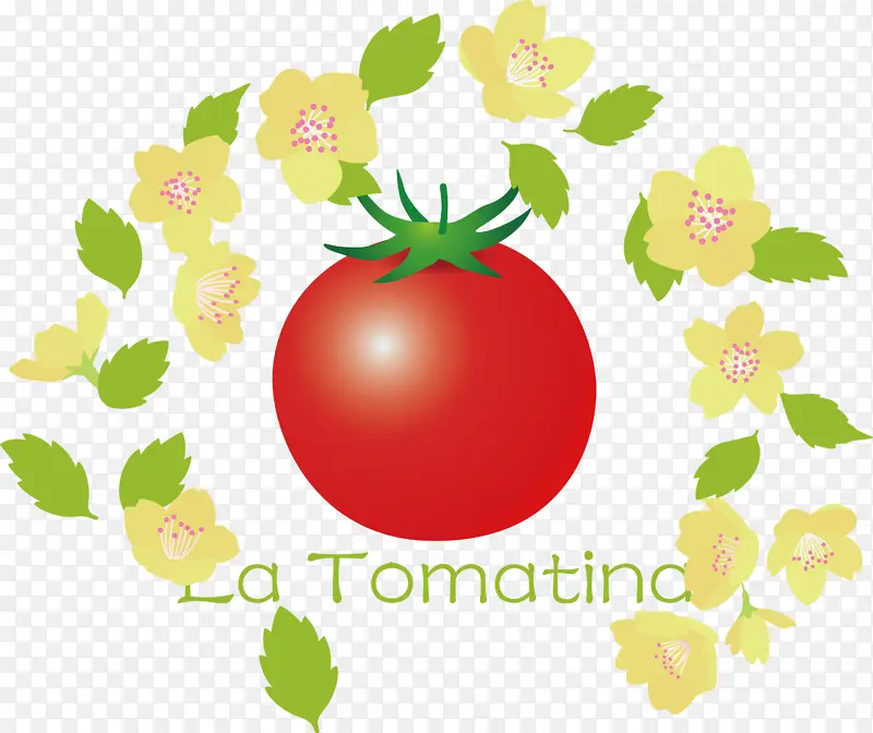 番茄 花卉 天然食品