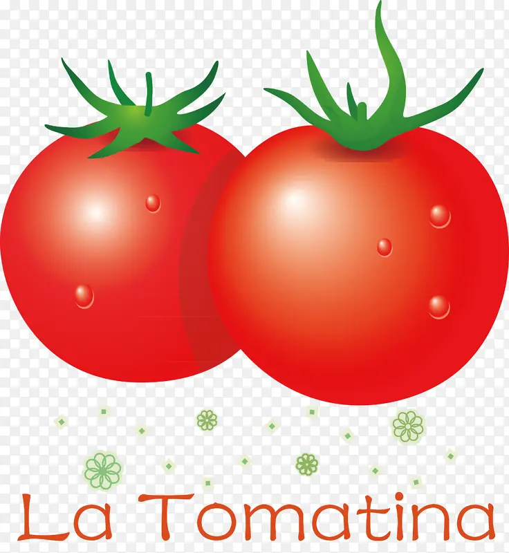 番茄 天然食品 灌木番茄