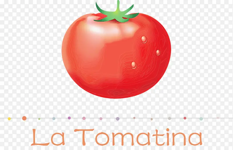 番茄 水彩 油漆
