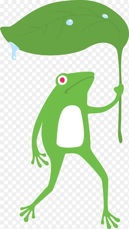 青蛙 卡通 真青蛙