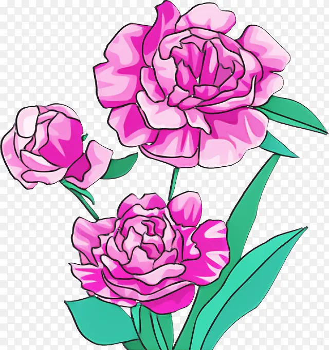 花卉设计 花园玫瑰 切花