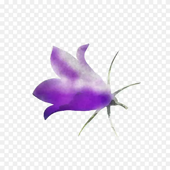 叶 蝴蝶 紫罗兰