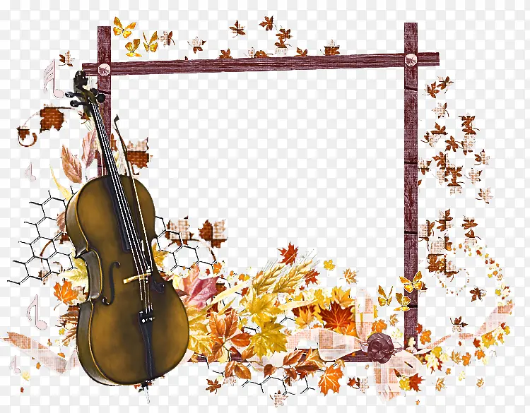 小提琴 弦乐器 米