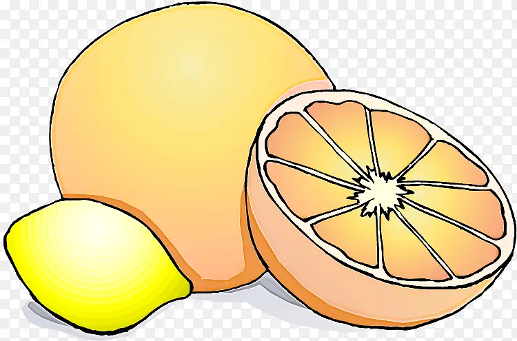 橙子 葡萄柚 日用品