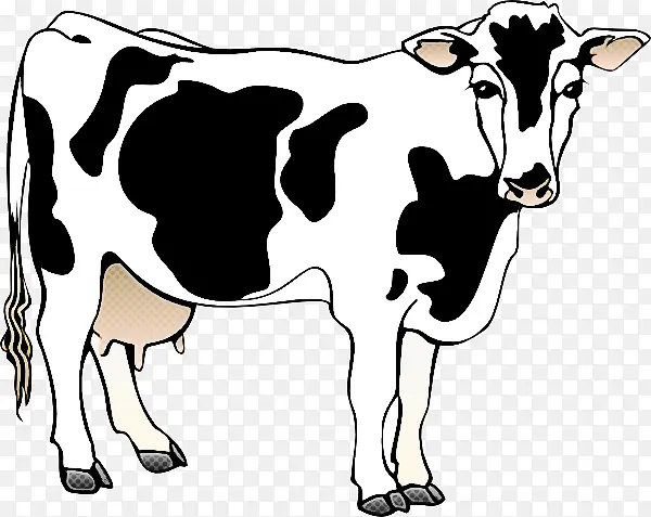 默拉水牛 荷斯坦弗里西亚牛 奶牛