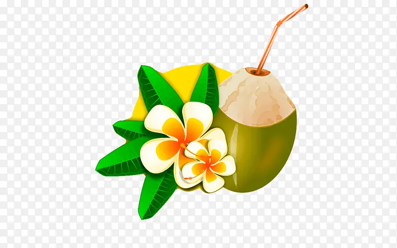 椰子水 椰子 液体