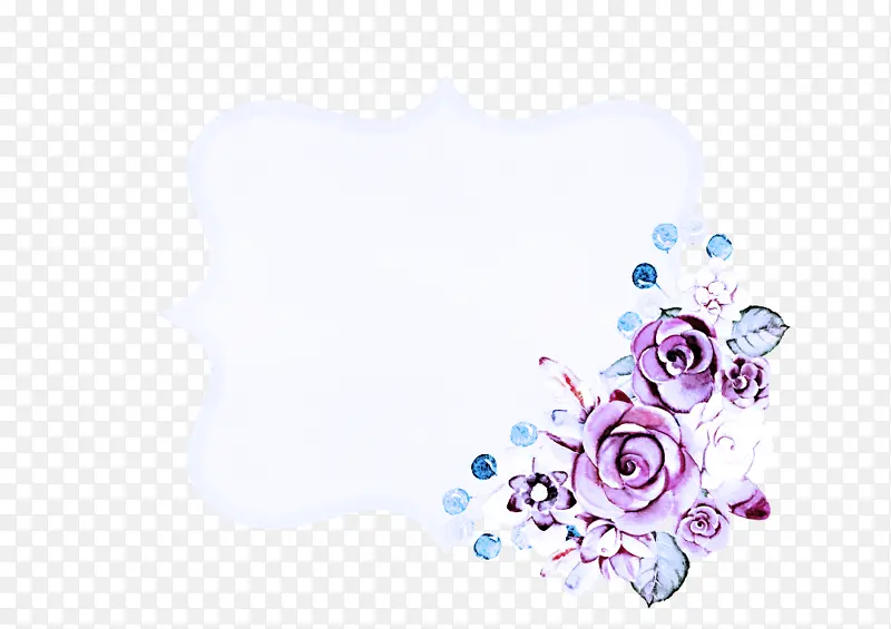 花卉设计 紫罗兰 切花